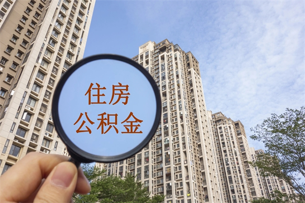 陆丰离职多久可以取住房公积金(离职多久后能取公积金) 陆丰离职多久可以取住房公积金(离职多久后能取公积金)